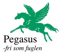 Pegasus logo1